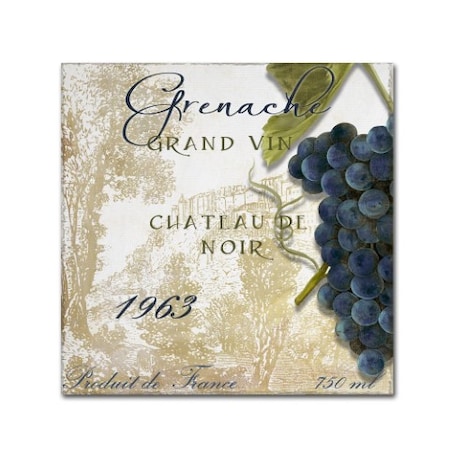 Color Bakery 'Grand Vin Grenache' Canvas Art,35x35